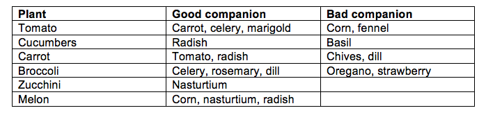 Companion Plants Chart 