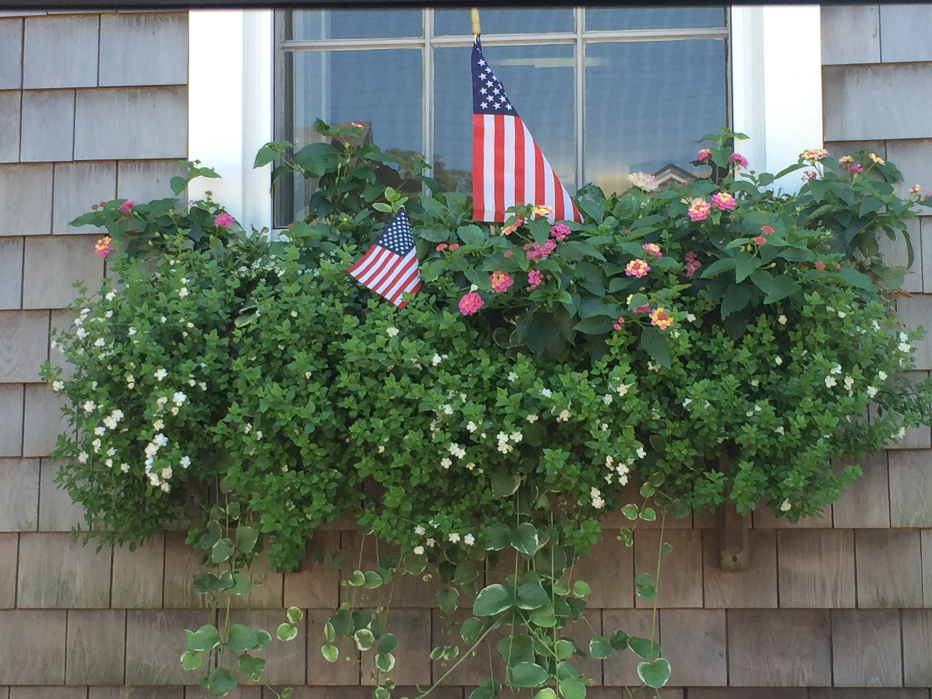 Nantucket flower box 2