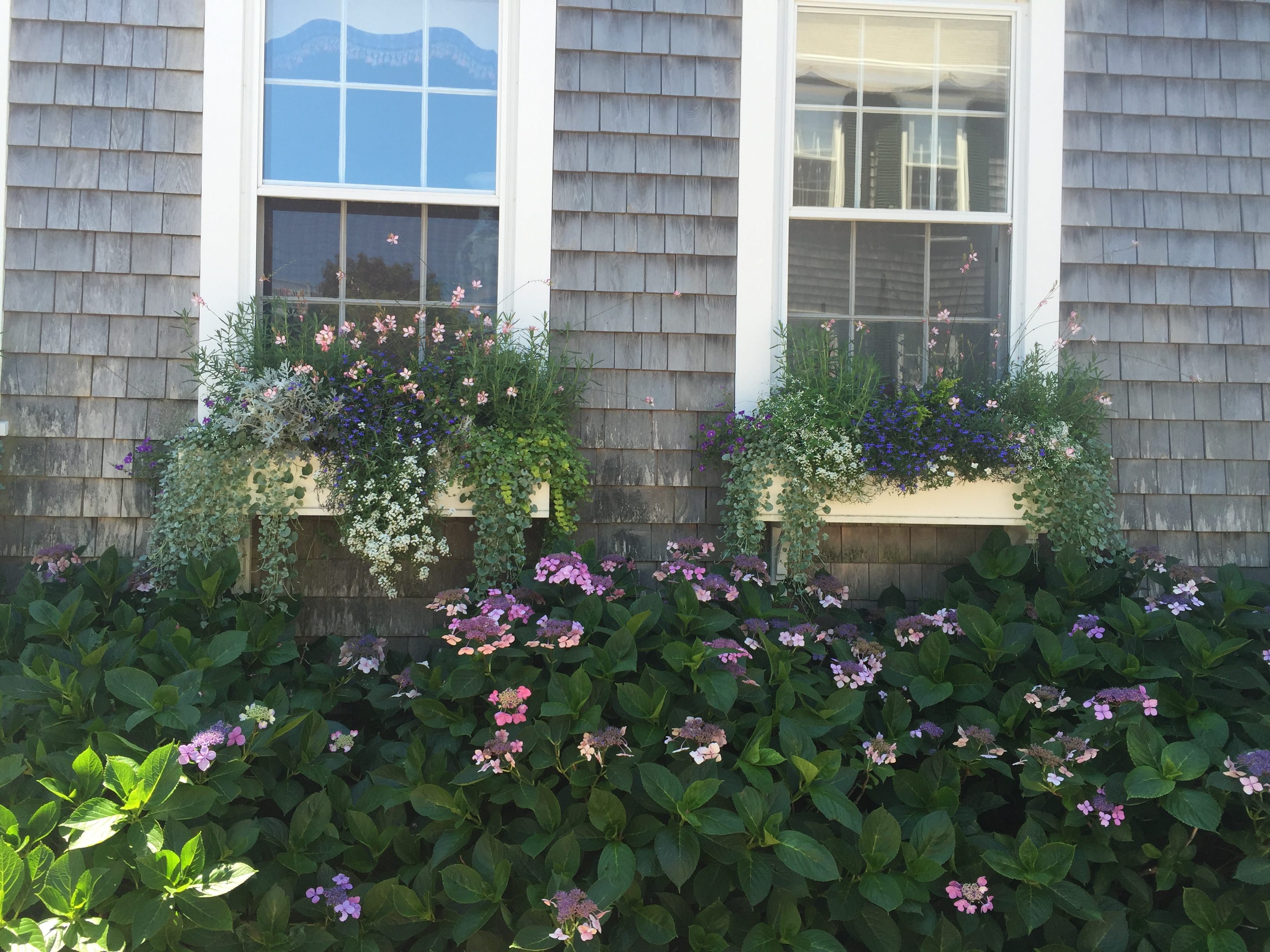 Nantucket flower box 6