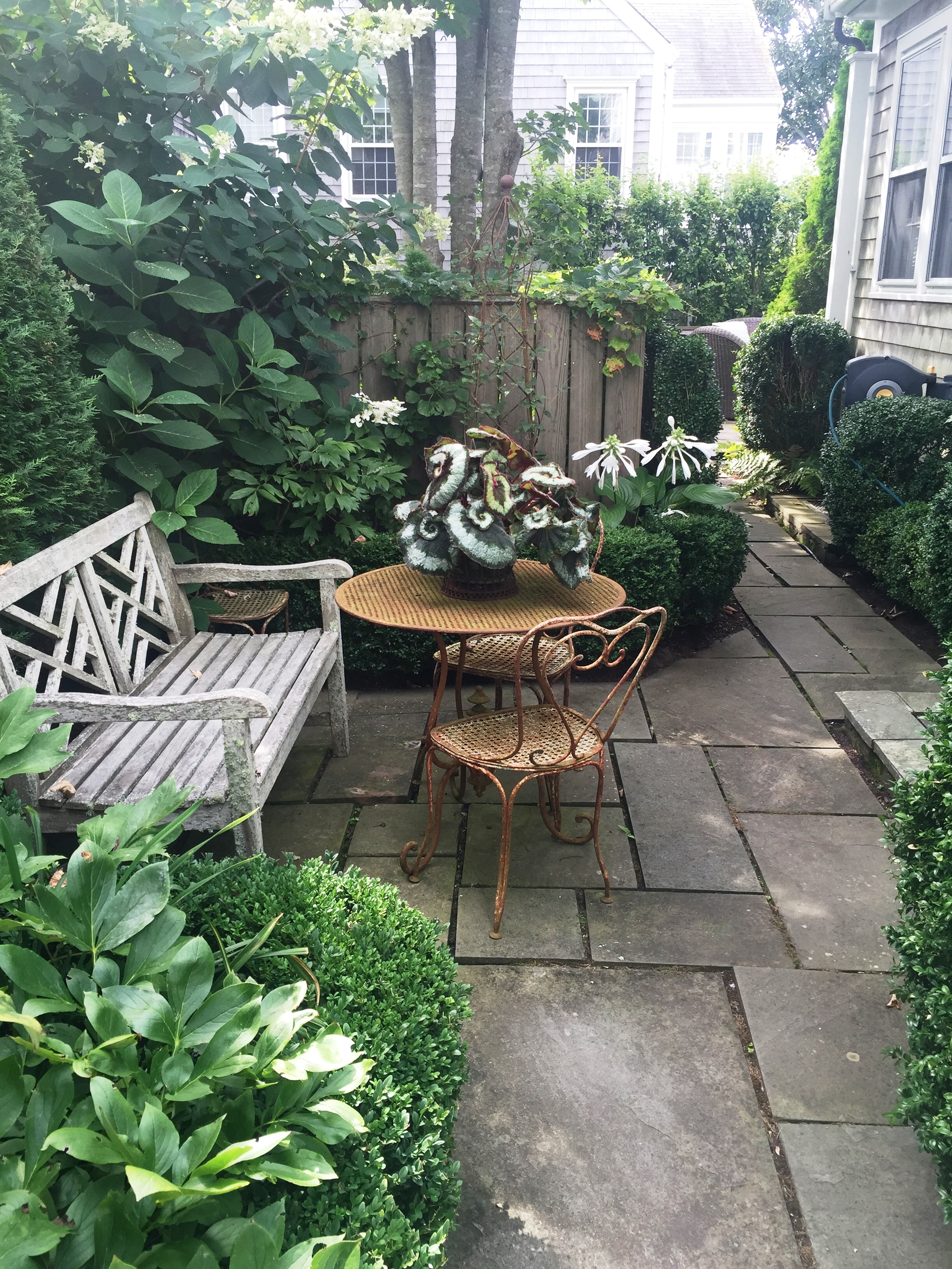 lichen covered bench