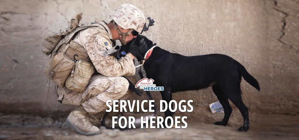 service-dogs2